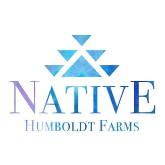 Native Humboldt — Blue Lobster