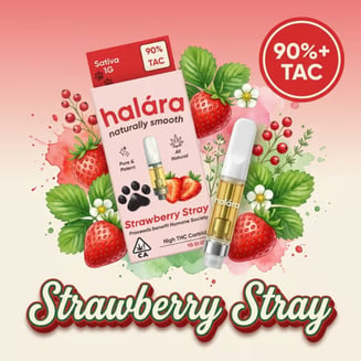 Halara: Strawberry Stray