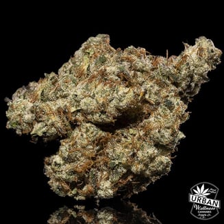 Brandy Wine Bandit by Urban Wellness