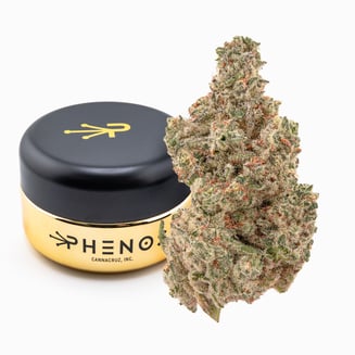 Phenos: Tropicanna Cherries