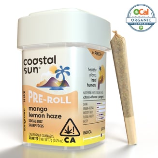 Coastal Sun: Mango Lemon Haze