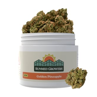 SunMed Growers — Golden Pineapple