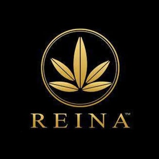 Apple Fritter [.5g] by Reina