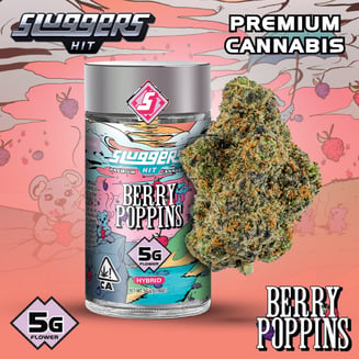 Sluggers: Berry Poppins