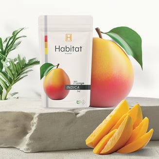 Mango [4pk] (20mg) by Habitat by Klutch