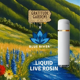 Tropical Infusion [500mg] by Gratitude Gardens