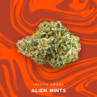 Alien Mints by Vivid