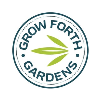 Black Ice by Grow Forth Gardens