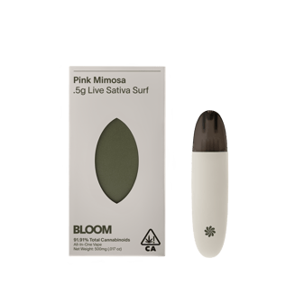 BLOOM — Pink Mimosa