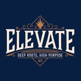 1:1 Lemon G - CBD Sativa [.35g] by Elevate