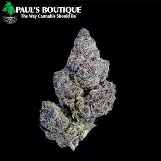 Kandyland [3g] by Paul's Boutique