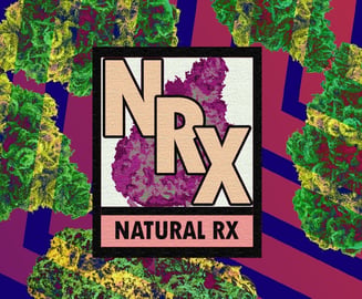 Blueberry Ice Cream [.5g] by Natural Rx
