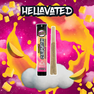 Hellavated — Mango Dragon