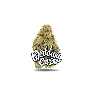 Jungle Boys — Wedding Cake