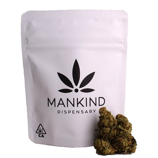 Mankind — Upgrade