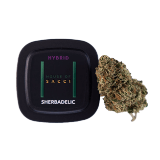 Sherbadelic by House of Sacci