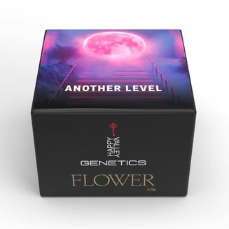 Another Level by Happy Valley