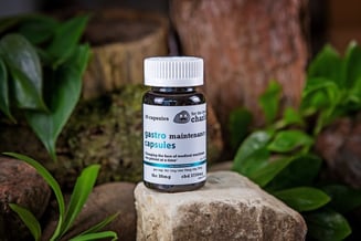 Gastro (250mg CBD/30mg THC) by for the love of charlie