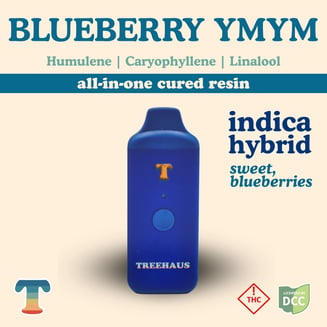 Blueberry YMYM - Full Spectrum AIO - 1g by Treehaus - Ohio