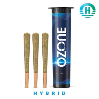 Ozone — Applescotti