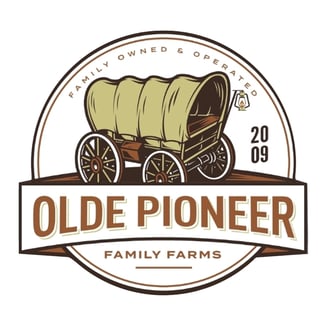 A+B [4g] by Olde Pioneer