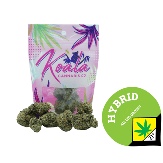 Bacio by Koala Cannabis Co.