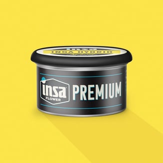 Apple Fritter by Insa