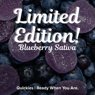 Limited Edition! - Quickies - Blueberry SATIVA [~100mg, 20pk] by Quickies Full Spectrum