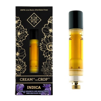 CREAM OF THE CROP — Gastopia