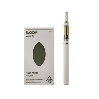 BLOOM: Kush Mintz