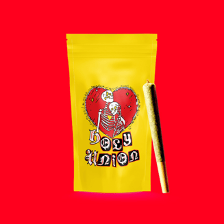 Coconut Cream Pie x Jack Herer [1.5g] by Holy Union