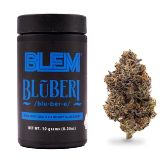 BLEM — Bluberi