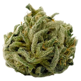 AMX Haze by MTL