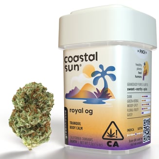 Coastal Sun — Royal OG