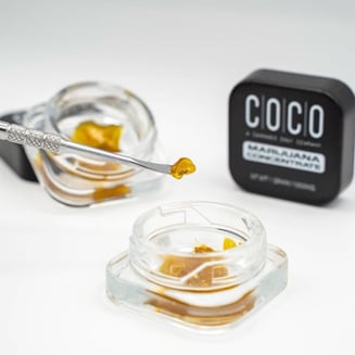 9lb Star Cookie by Coco Labs