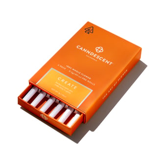 Create x Govern Mint Oasis by Canndescent