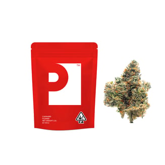 Yin Yang by Preferred Gardens