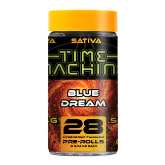 Time Machine: Blue Dream
