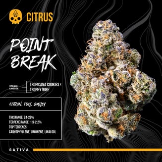 Bosky Genetics — Point Break