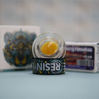 Bear Labs: Blueberry Pancakes