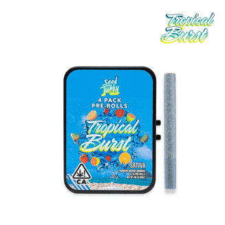 Seed Junky Genetics: Tropical Burst