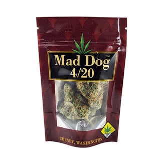 Allen Iverson by Mad Dog 420