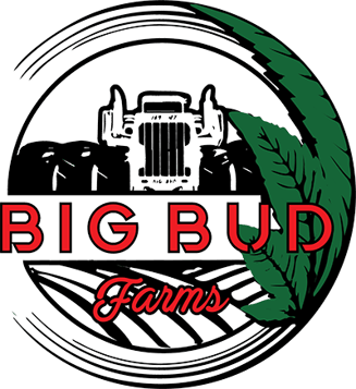 1995 [1g] by Big Bud Farms