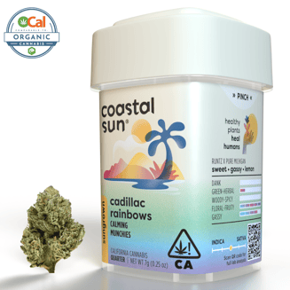 Coastal Sun: Cadillac Rainbows