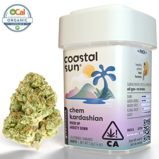 Coastal Sun — Chem Kardashian