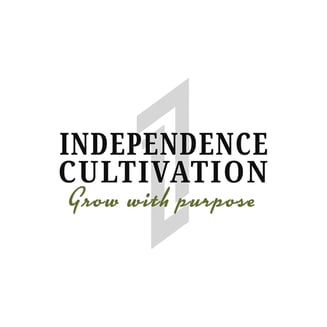Apple Fritter by Independence Cultivation