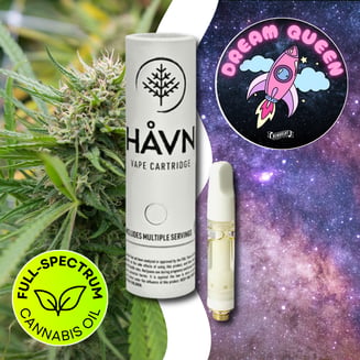 Dream Queen by HÅVN Extracts