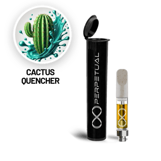 Cactus Quencher by Perpetual