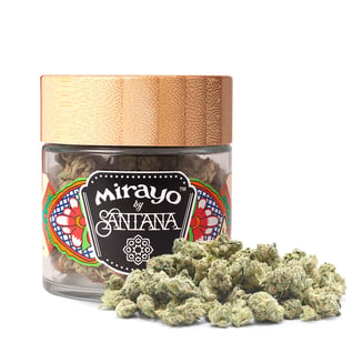 707 Headband by Mirayo by Santana