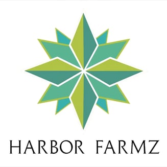 GG4 x Cataract Kush by Harbor Farmz